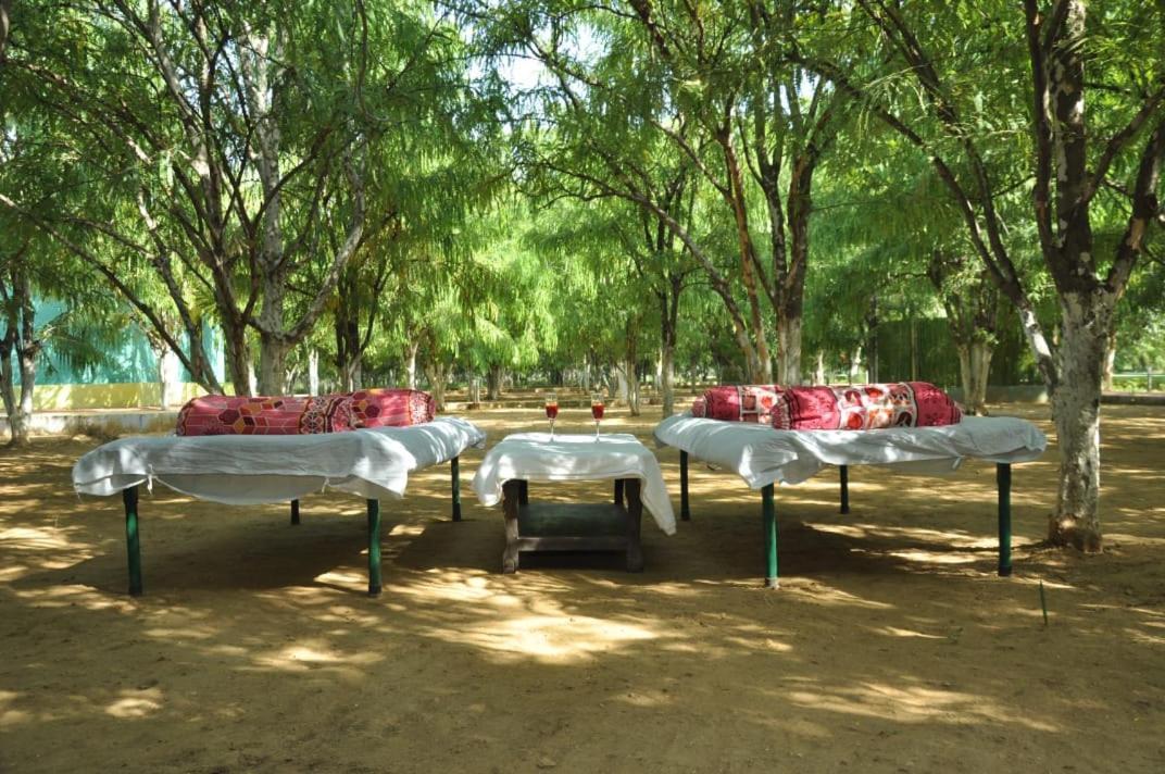Matoshree Green Stay Sariska Tehla Exterior photo