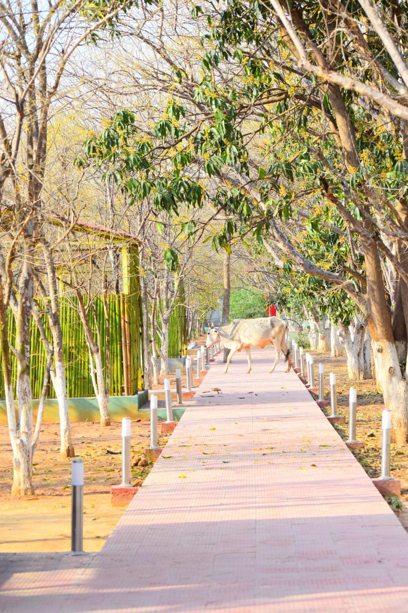 Matoshree Green Stay Sariska Tehla Exterior photo